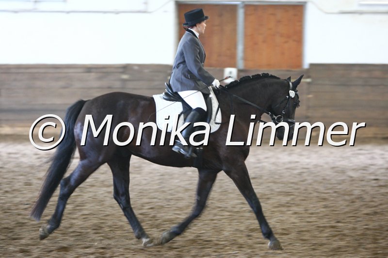 009M3136_Dark Shadow_Dressur A.JPG